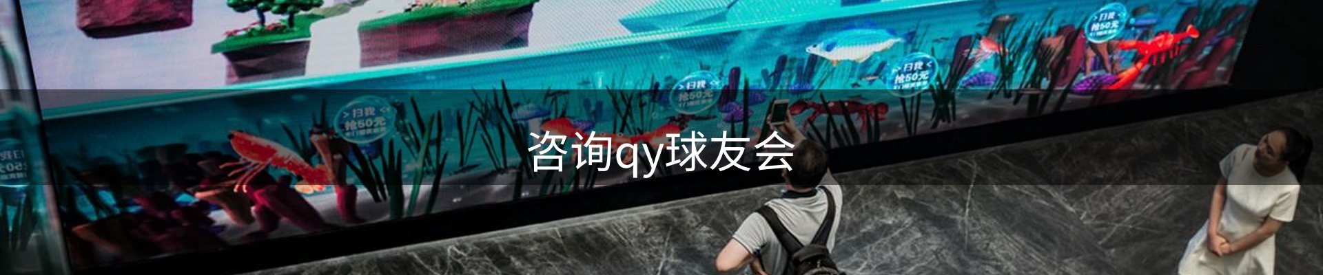 咨询qy球友会
